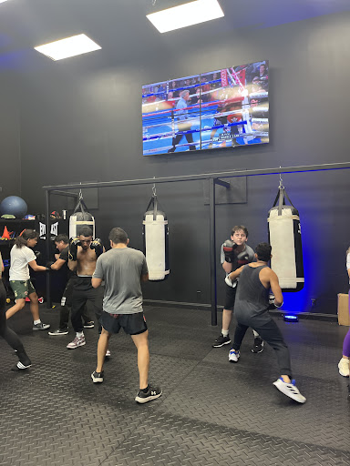 KM Boxing Club boxing gym in West Palm Beach, Florida, United States - training facility photo 6