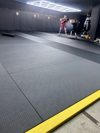 TigerStyle Combat Sports boxing gym in Portland, Oregon, United States - training facility photo 6